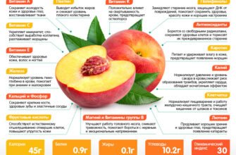 Персик: в чому його користь для здоров’я вашої печінки?