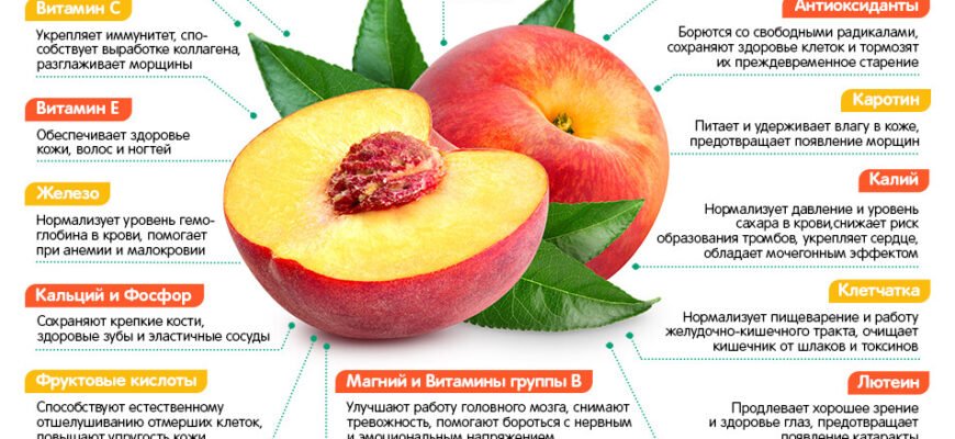 Персик: в чому його користь для здоров’я вашої печінки? Персик: в чому його користь для здоров’я вашої печінки?