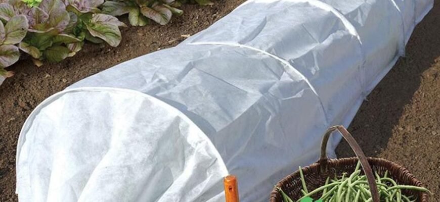 Чи є різниця якою стороною стелити агроволокно для садівництва? Чи є різниця якою стороною стелити агроволокно для садівництва?