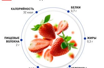 Яка користь клубники для жінок: ключові переваги та властивості?