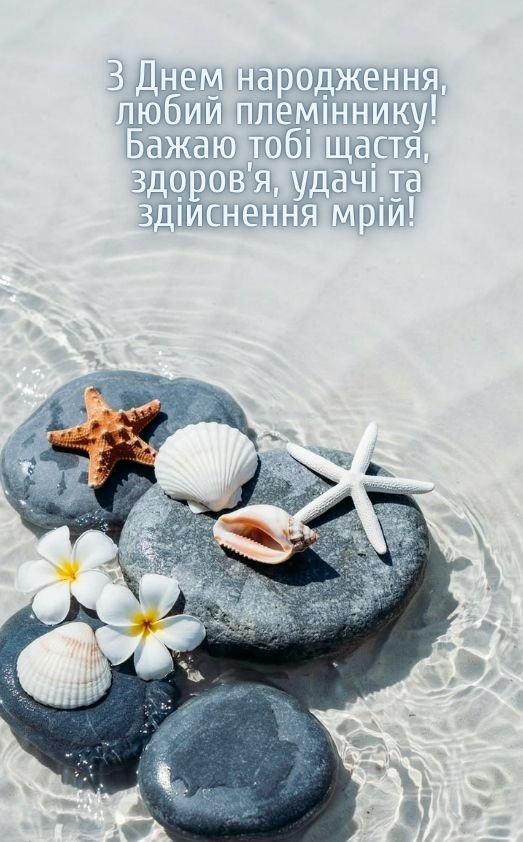 вітання з днем народження племінника від тітки