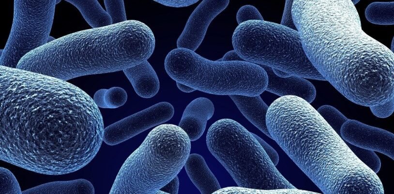 Внутрішньолікарняні інфекції: причини, профілактика та наслідки