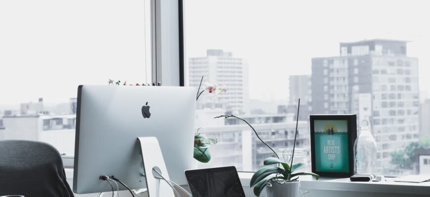 Як перевірити, чи можна виїхати за кордон онлайн: крок за кроком