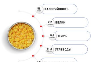 Чим корисна кукурудза: основні переваги для вашого здоров’я?