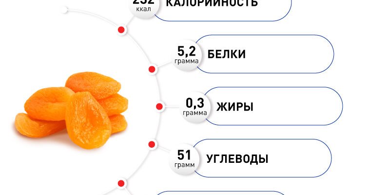Курага користь і шкода: як правильно вживати сухофрукт? Курага користь і шкода: як правильно вживати сухофрукт?