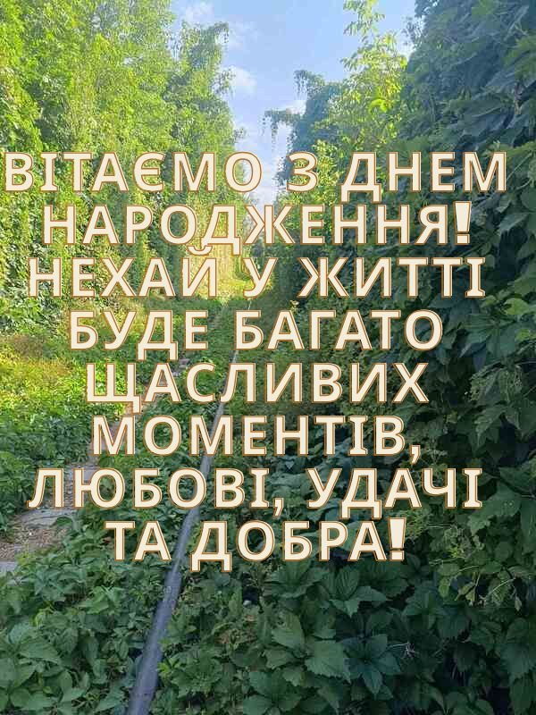 з днем народження племінниця листівки