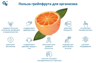 Чи дійсно є користь грейпфрута для печінки? Дізнайтеся більше!