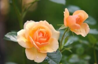 ТОП-10 ідей декору зі штучними квітами: для дому, подій і комерційних просторів