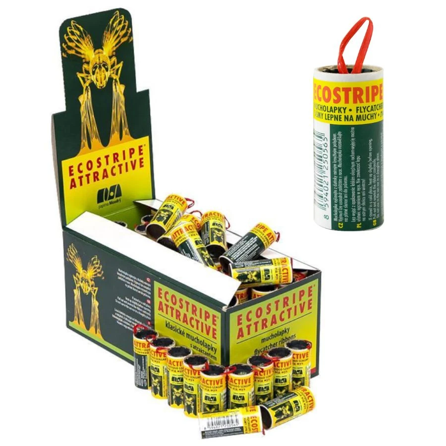 Як позбутися мух у квартирі