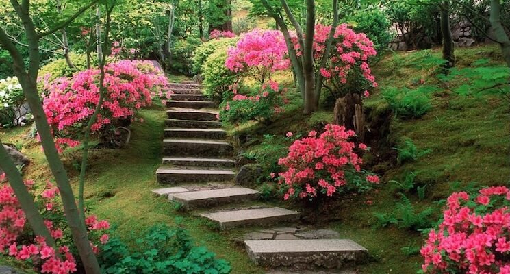 Чому ландшафтний дизайн важливий: користь, яку видно щодня