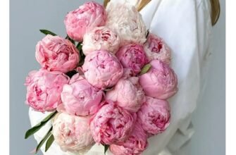 Букет, який не запізнюється: міський сценарій вручення Букет, який не запізнюється: міський сценарій вручення