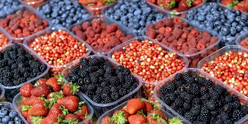 Контейнери та лотки для ягід: упаковка для зберігання і транспортування без втрати якості