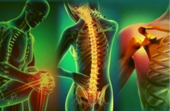 Современные решения в области восстановления: как выбрать реабилитационное оборудование для опорно двигательной системы