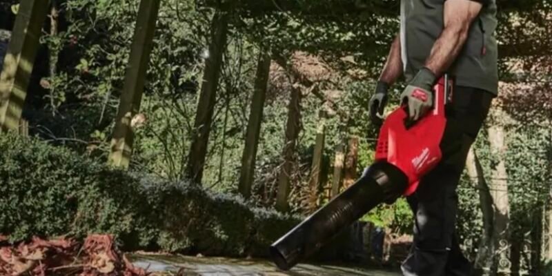 Як вибрати садовий пилосос для прибирання листя та сміття