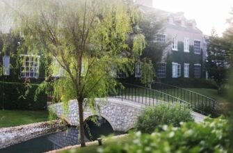 Чому професійне озеленення стає новою нормою для львів’ян