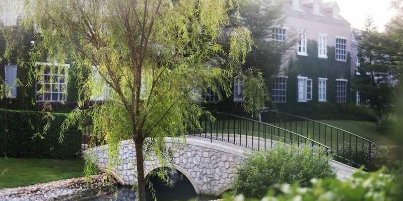 Чому професійне озеленення стає новою нормою для львів’ян