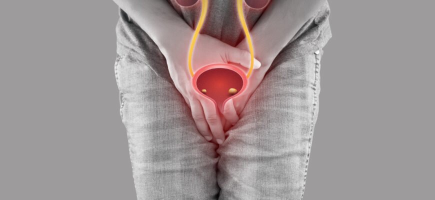 Растительные комплексы для здоровья почек: что выбрать