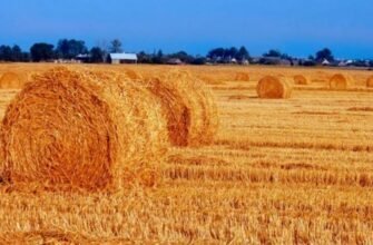 Як перетворити солому та сіно на кормові гранули чи пелети?
